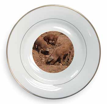 New Baby Pigs Gold Rim Plate Printed Full Colour in Gift Box