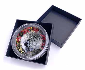 Porcupine Wildlife Print Glass Paperweight in Gift Box