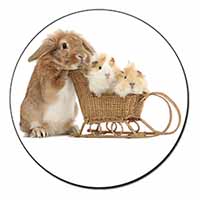 Rabbit and Guinea Pigs Fridge Magnet Printed Full Colour