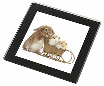 Rabbit and Guinea Pigs Black Rim High Quality Glass Coaster