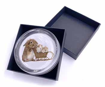 Rabbit and Guinea Pigs Glass Paperweight in Gift Box