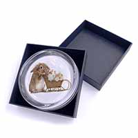 Rabbit and Guinea Pigs Glass Paperweight in Gift Box