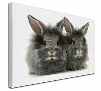 Silver Rabbits Canvas X-Large 30"x20" Wall Art Print