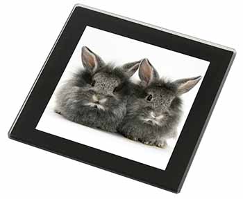 Silver Rabbits Black Rim High Quality Glass Coaster