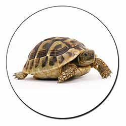 A Cute Tortoise Fridge Magnet Printed Full Colour