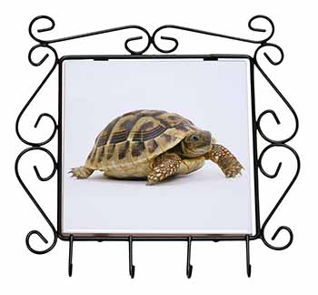 A Cute Tortoise Wrought Iron Key Holder Hooks