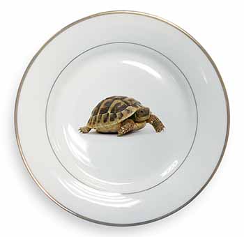 A Cute Tortoise Gold Rim Plate Printed Full Colour in Gift Box