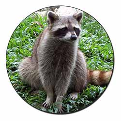 Racoon Lemur Fridge Magnet Printed Full Colour