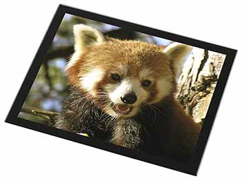 Red Panda Bear Black Rim High Quality Glass Placemat