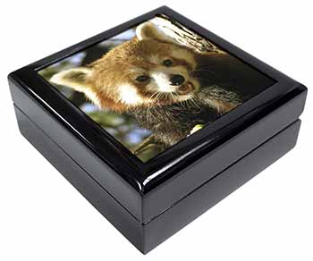 Red Panda Bear Keepsake/Jewellery Box