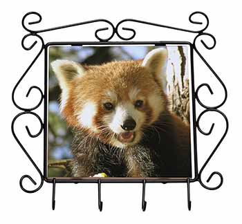 Red Panda Bear Wrought Iron Key Holder Hooks