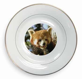 Red Panda Bear Gold Rim Plate Printed Full Colour in Gift Box