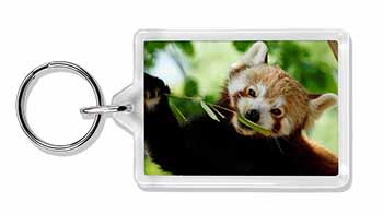 Cute Red Panda Photo Keyring printed full colour