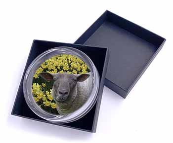 Cute Sheep with Daffodils Glass Paperweight in Gift Box