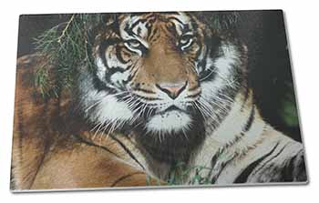 Large Glass Cutting Chopping Board Bengal Tiger in Sunshade