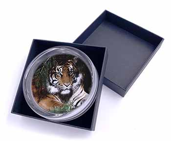 Bengal Tiger in Sunshade Glass Paperweight in Gift Box