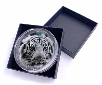 Siberian White Tiger Glass Paperweight in Gift Box