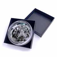 Siberian White Tiger Glass Paperweight in Gift Box