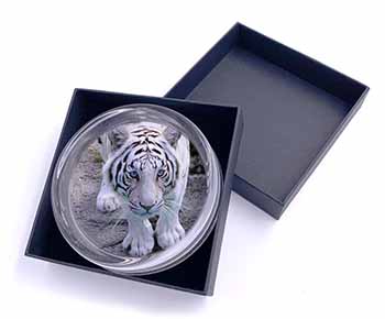 Siberian White Tiger Glass Paperweight in Gift Box