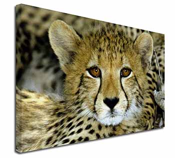 Baby Cheetah Canvas X-Large 30"x20" Wall Art Print