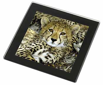 Baby Cheetah Black Rim High Quality Glass Coaster