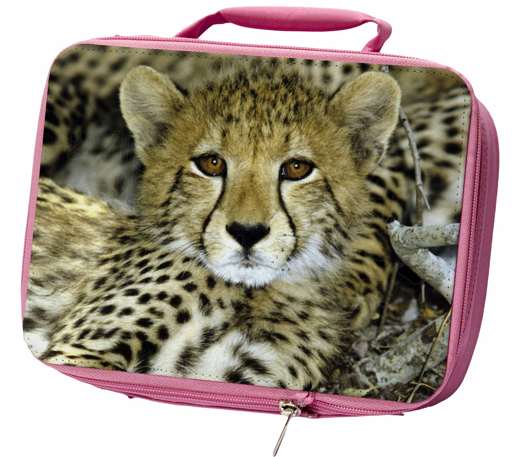 cheetah lunch box