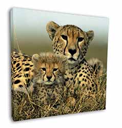 Cheetah and Cubs Square Canvas 12"x12" Wall Art Picture Print