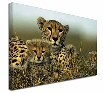 Cheetah and Cubs Canvas X-Large 30"x20" Wall Art Print