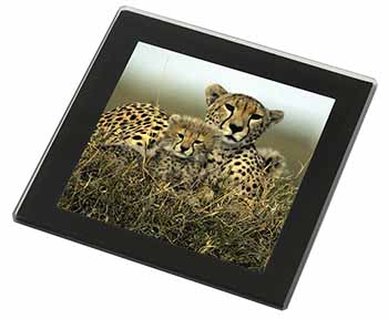 Cheetah and Cubs Black Rim High Quality Glass Coaster