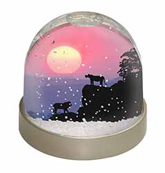 African Lions Sunrise Snow Globe Photo Waterball