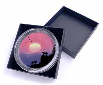 African Lions Sunrise Glass Paperweight in Gift Box