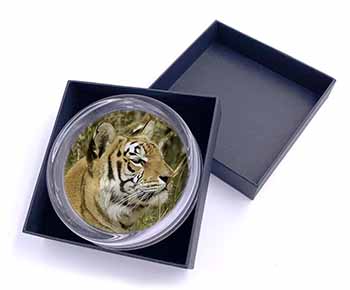 Bengal Tiger Glass Paperweight in Gift Box