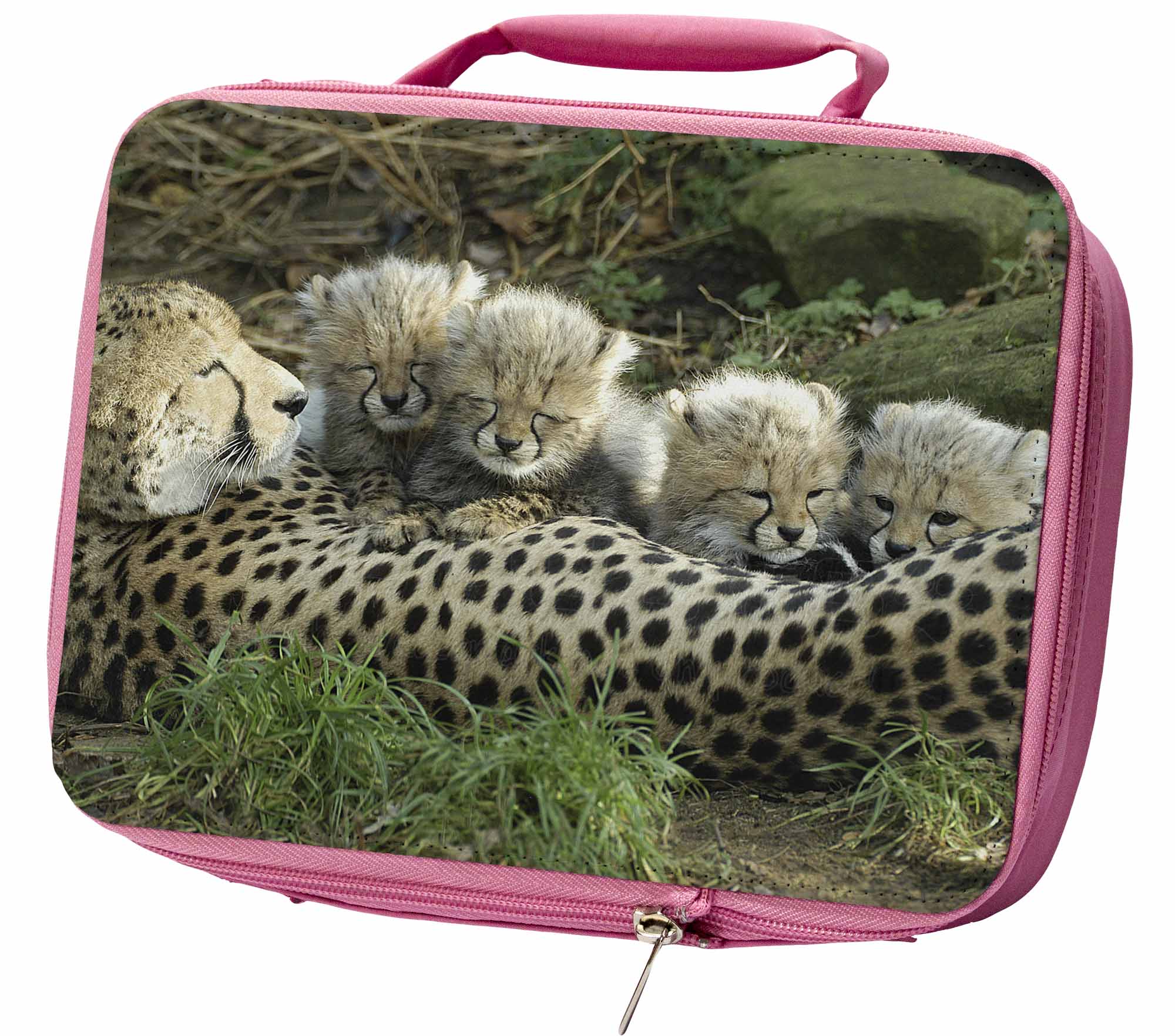 cheetah lunch box