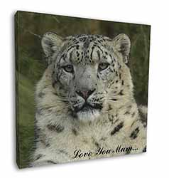 Snow Leopard 