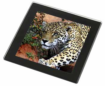 Jaguar Black Rim High Quality Glass Coaster