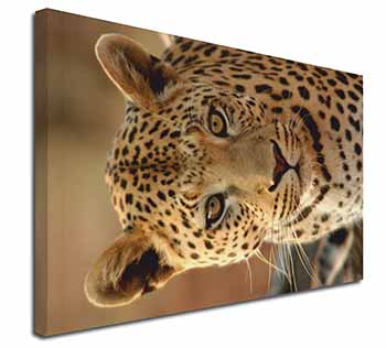 Leopard Canvas X-Large 30"x20" Wall Art Print