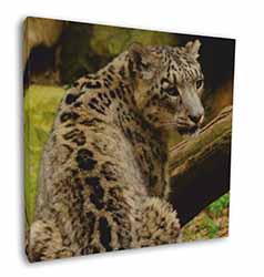 Gorgeous Snow Leopard Square Canvas 12"x12" Wall Art Picture Print