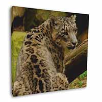 Gorgeous Snow Leopard Square Canvas 12"x12" Wall Art Picture Print