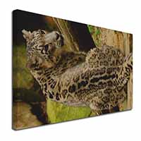 Gorgeous Snow Leopard Canvas X-Large 30"x20" Wall Art Print