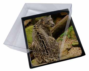 4x Gorgeous Snow Leopard Picture Table Coasters Set in Gift Box