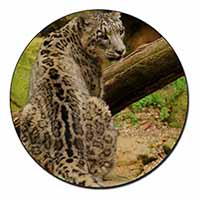 Gorgeous Snow Leopard Fridge Magnet Printed Full Colour