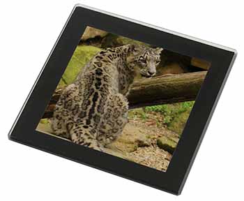 Gorgeous Snow Leopard Black Rim High Quality Glass Coaster