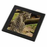 Gorgeous Snow Leopard Black Rim High Quality Glass Coaster