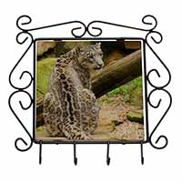 Gorgeous Snow Leopard Wrought Iron Key Holder Hooks