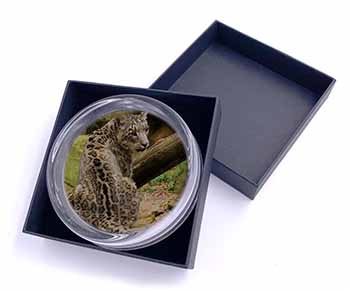 Gorgeous Snow Leopard Glass Paperweight in Gift Box