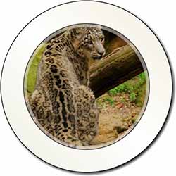 Gorgeous Snow Leopard Car or Van Permit Holder/Tax Disc Holder