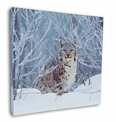 Wild Lynx in Snow Square Canvas 12"x12" Wall Art Picture Print