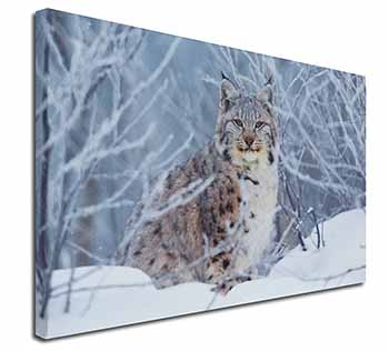 Wild Lynx in Snow Canvas X-Large 30"x20" Wall Art Print