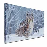 Wild Lynx in Snow Canvas X-Large 30"x20" Wall Art Print