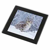 Wild Lynx in Snow Black Rim High Quality Glass Coaster